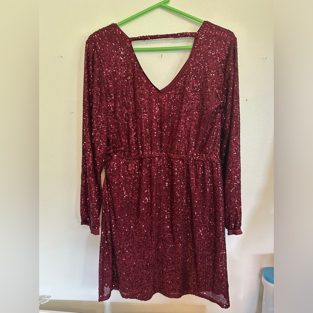 Elegant Burgundy Sequin Dress - Picture 6 of 7